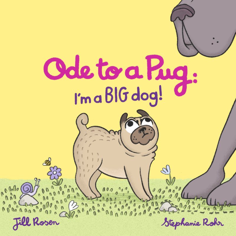 Oda a los Pugs: ¡Soy un perro grande! Reservar tour y obsequios.