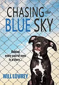 Persiguiendo cielos azules - Reseña editorial - Directorio de reseñas de libros